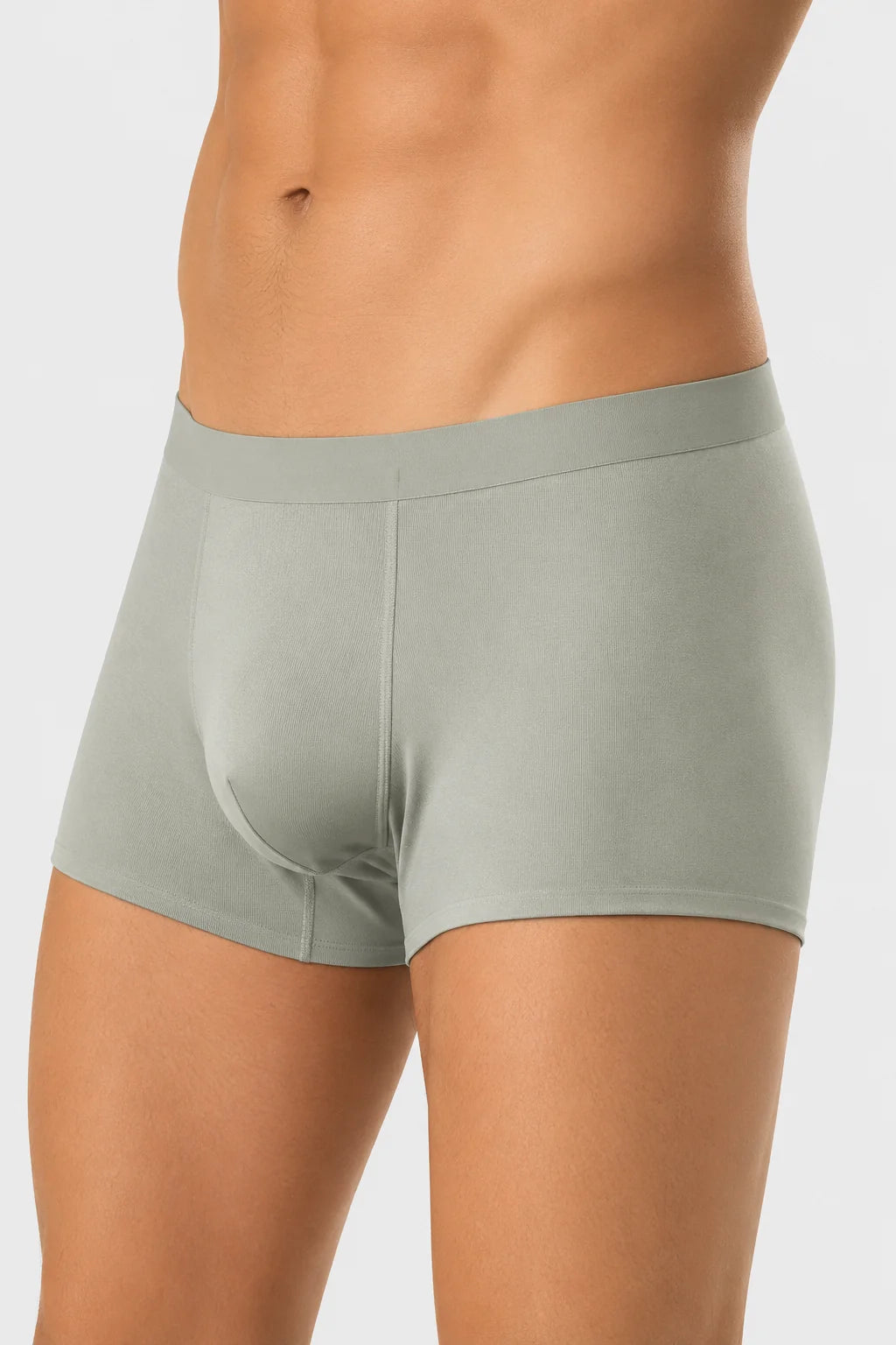 Men’s Bamboo Seamless Boxer Briefs Pack of 5